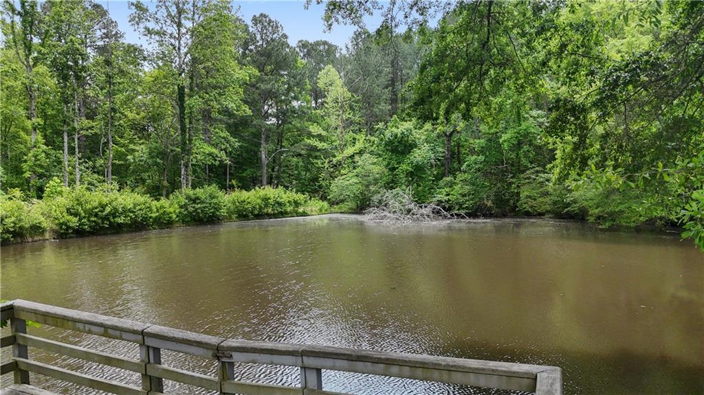 1528 Old Cartersville Road Dallas, GA 30132 - Photo 45 of 54