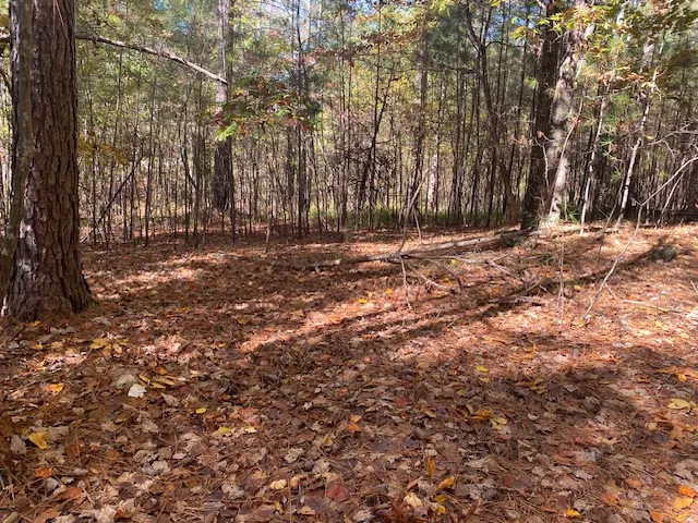 $350,000 | 0 Cliffs Vista Parkway, Six Mile, SC 29682