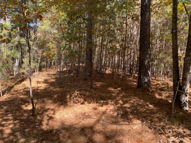 $350,000 | 0 Cliffs Vista Parkway, Six Mile, SC 29682