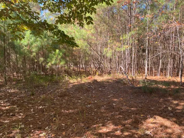 $350,000 | 0 Cliffs Vista Parkway, Six Mile, SC 29682