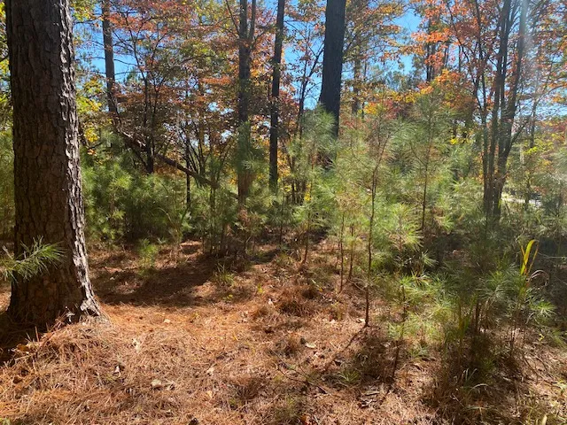 $350,000 | 0 Cliffs Vista Parkway, Six Mile, SC 29682
