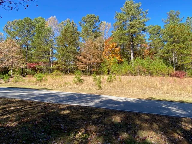 $350,000 | 0 Cliffs Vista Parkway, Six Mile, SC 29682