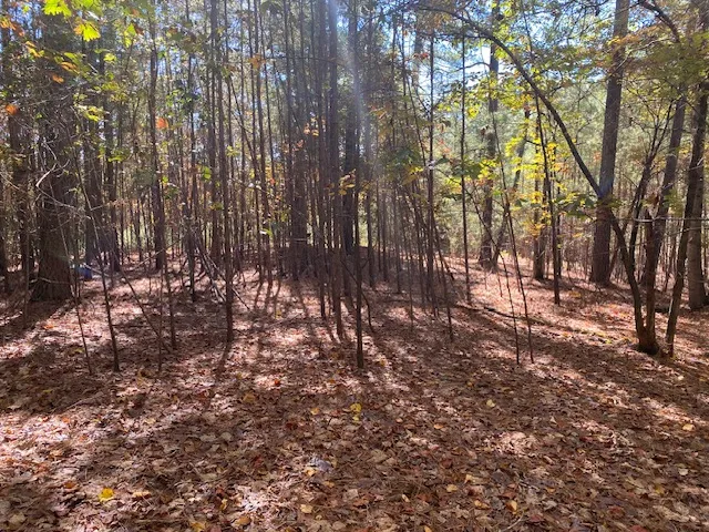 $350,000 | 0 Cliffs Vista Parkway, Six Mile, SC 29682