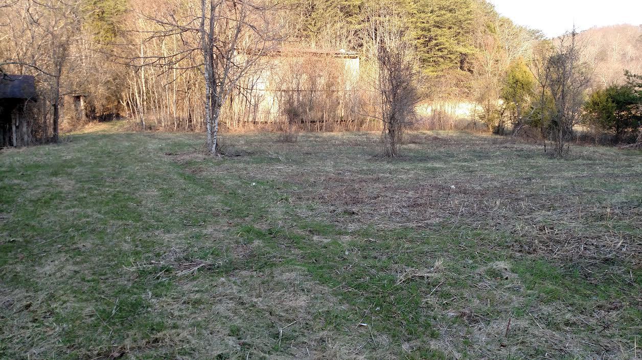 2598 Inman Bend Road Morristown, TN 37814 - Photo 6 of 8 Land