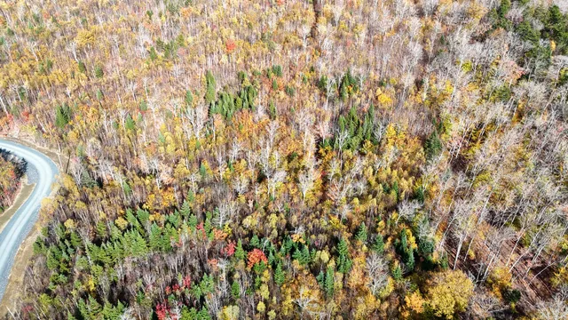 $125,000 | Lot 12 Blair Hill Road, Greenville, ME 04441