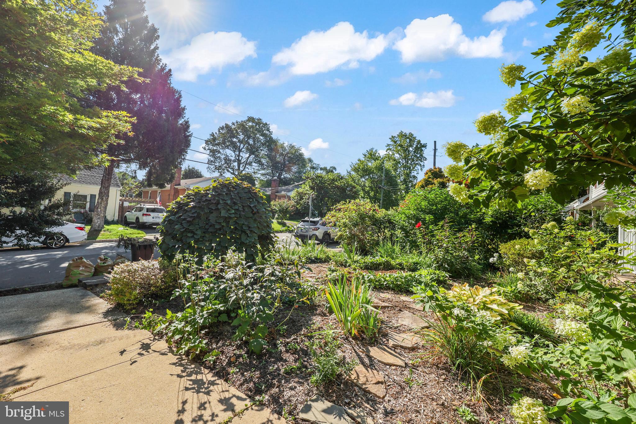 2816 West George Mason Road Falls Church, VA 22042 - Photo 41 of 48 Gallery Image 41