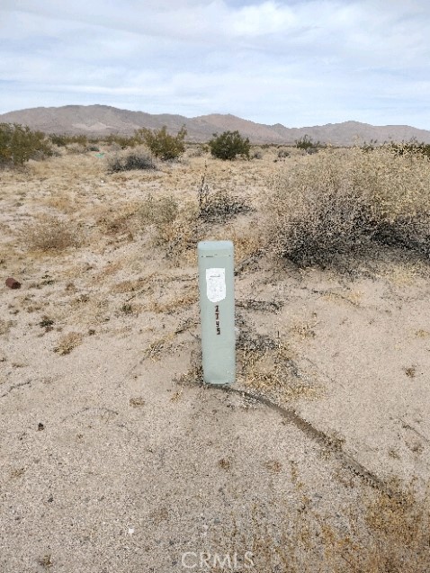 10313 Lake Road Cantil, CA 93519 - Photo 20 of 31 a view of a dry yard with mountain