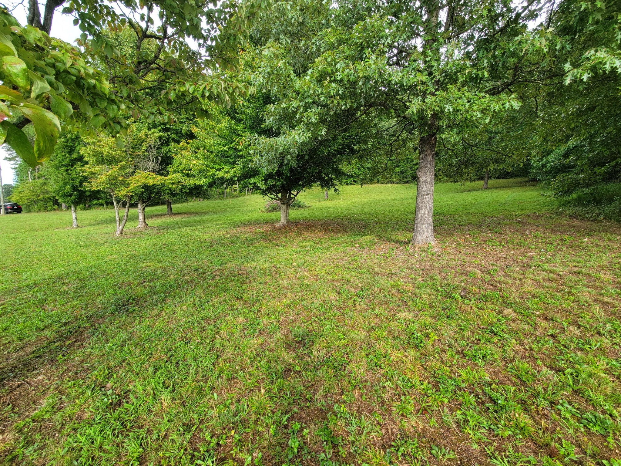 0 Northwest Candies Creek Ridge Road Charleston, TN 37310 - Photo 9 of 12 Gallery Image 9