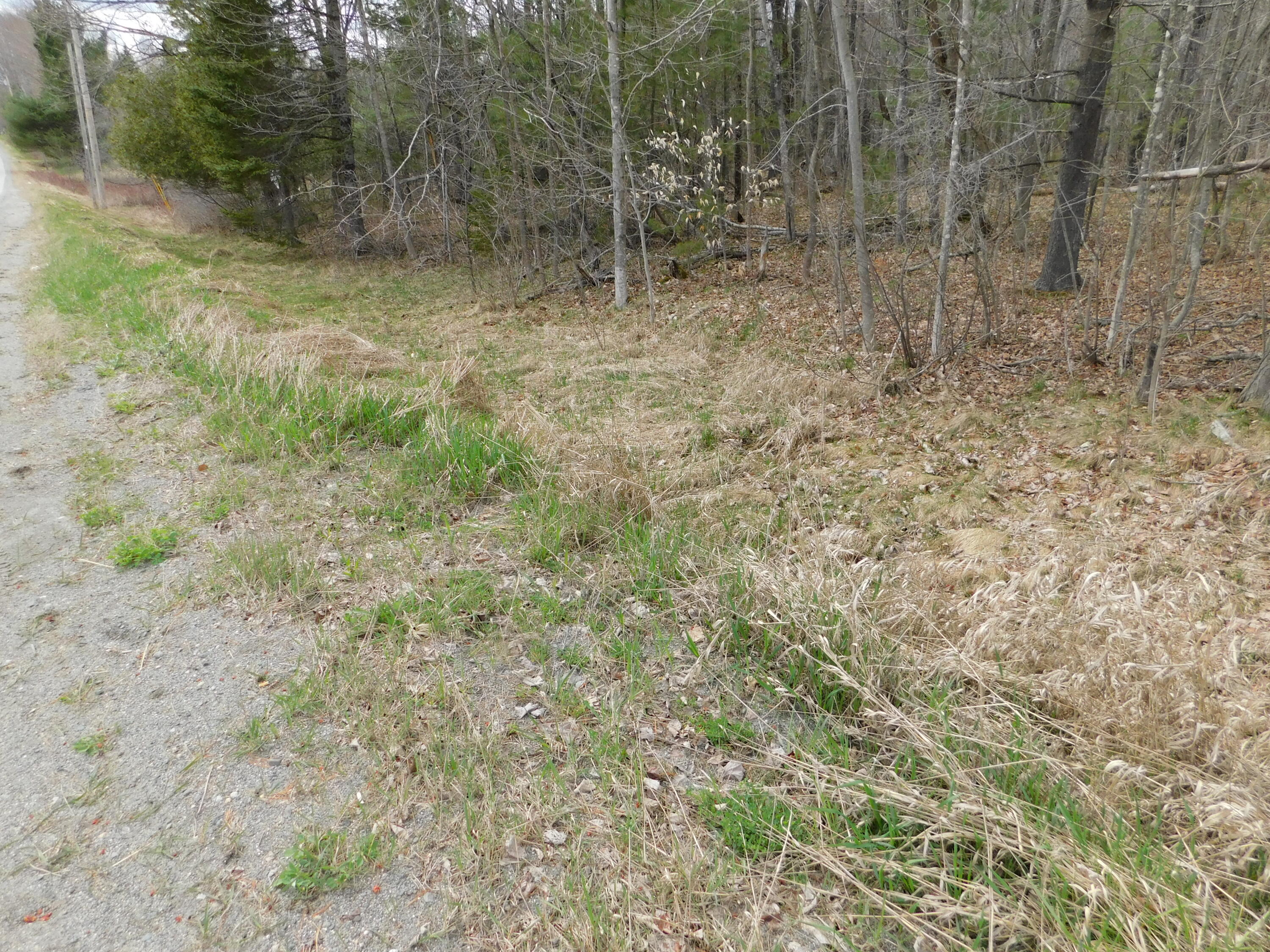 0 Dexter Road Cambridge, ME 04923 - Photo 6 of 11 DSCN4166