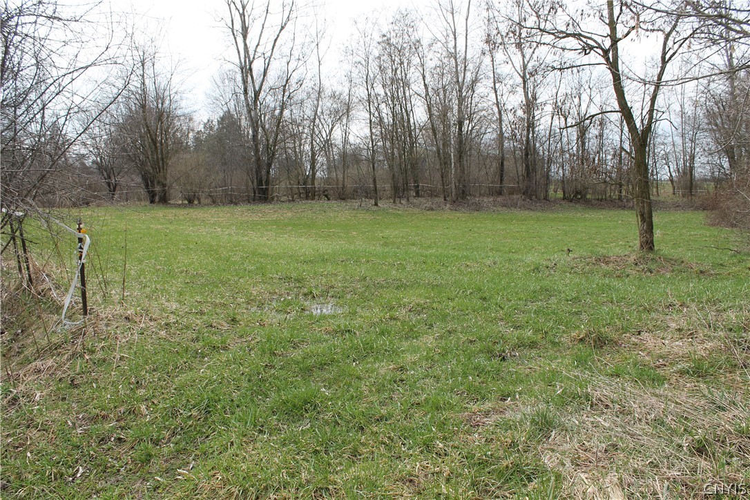 10074 Bonta Bridge Road Jordan, NY 13080 - Photo 46 of 50