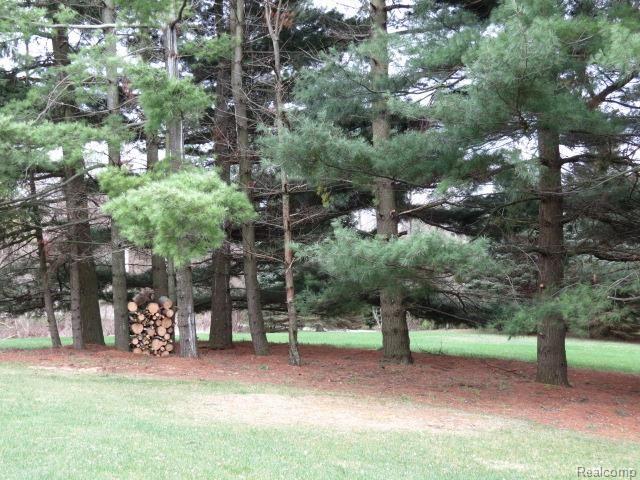 10987 Hibner Road Hartland, MI 48353 - Photo 14 of 50 IMG_0679.jpg