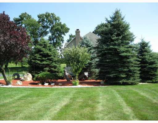 5926 Claridge Export Road Export, PA 15632 - Photo 16 of 17 Yard/Garden.