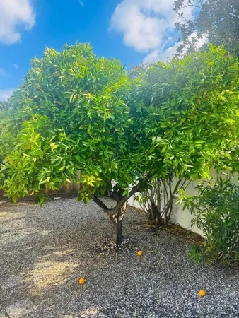 $2,998,000 | 1102 Blue Lake Square, Mountain View, CA 94040