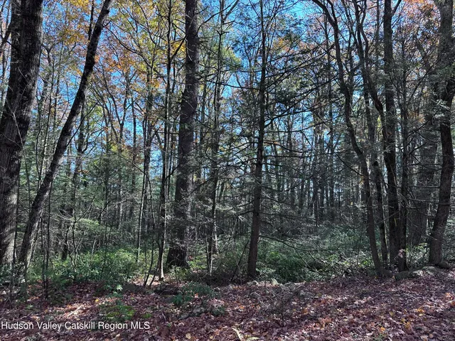 $75,000 | Lot 2 Upper Cherrytown Road, Kerhonkson, NY 12446