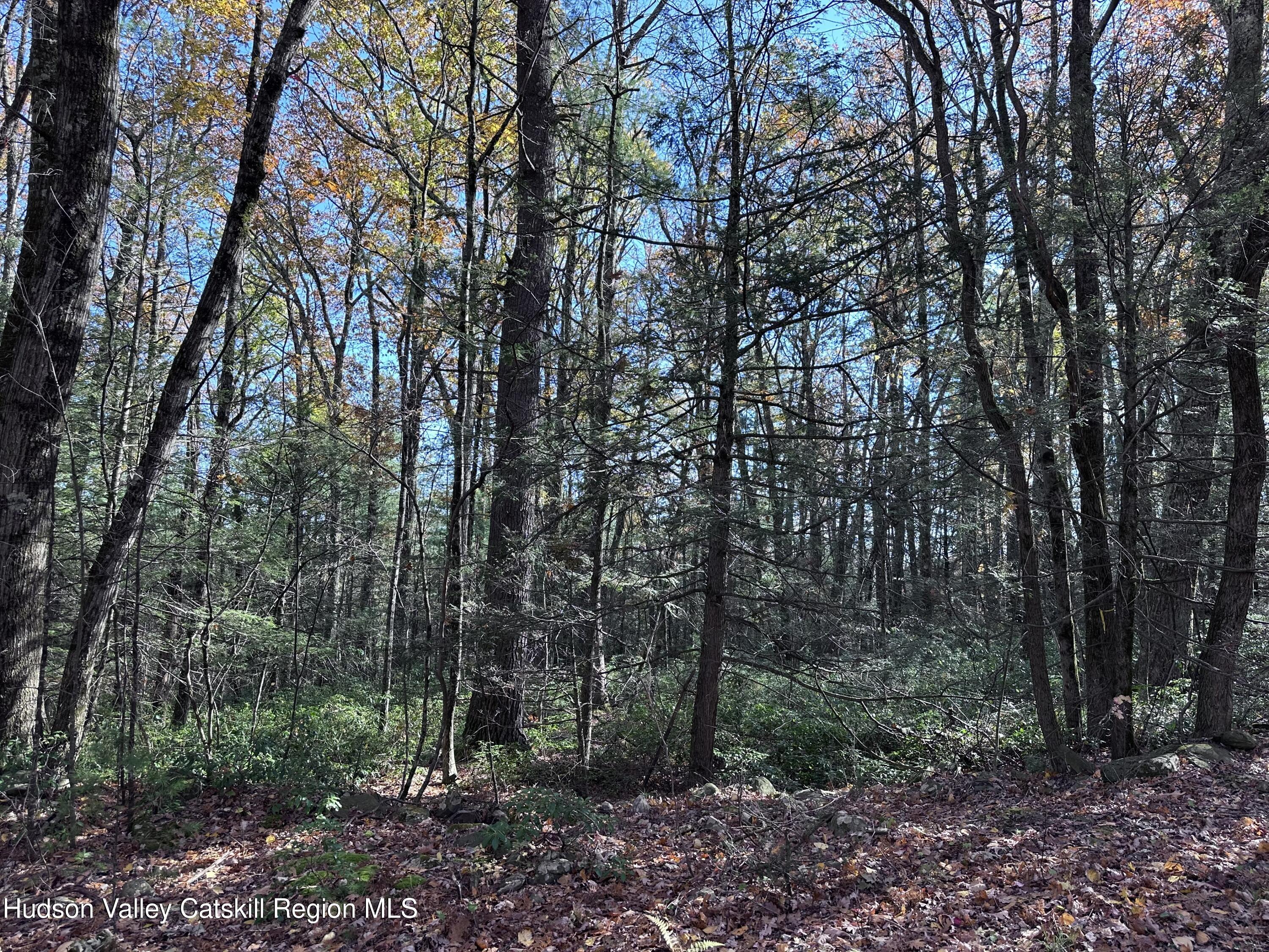 Lot 2 Upper Cherrytown Road Kerhonkson, NY 12446 - Photo 2 of 10 IMG_3314