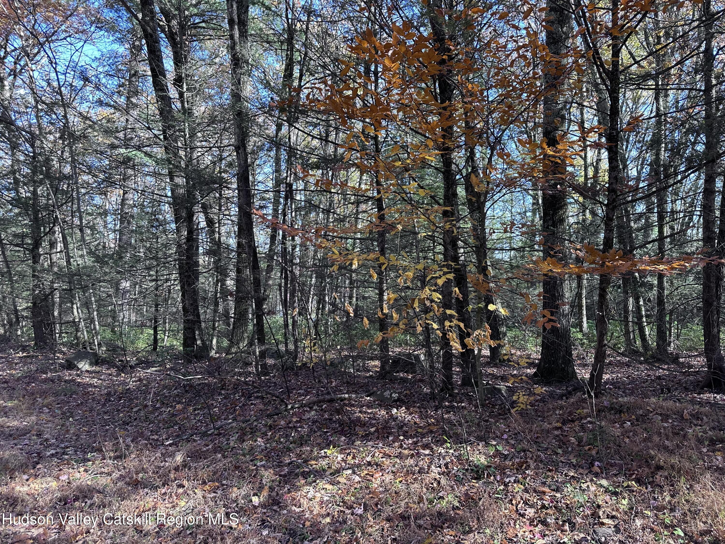 Lot 2 Upper Cherrytown Road Kerhonkson, NY 12446 - Photo 3 of 10 IMG_3315
