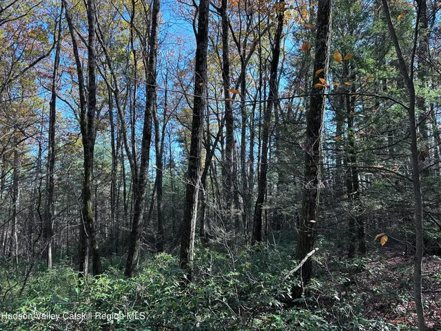 $75,000 | Lot 2 Upper Cherrytown Road, Kerhonkson, NY 12446
