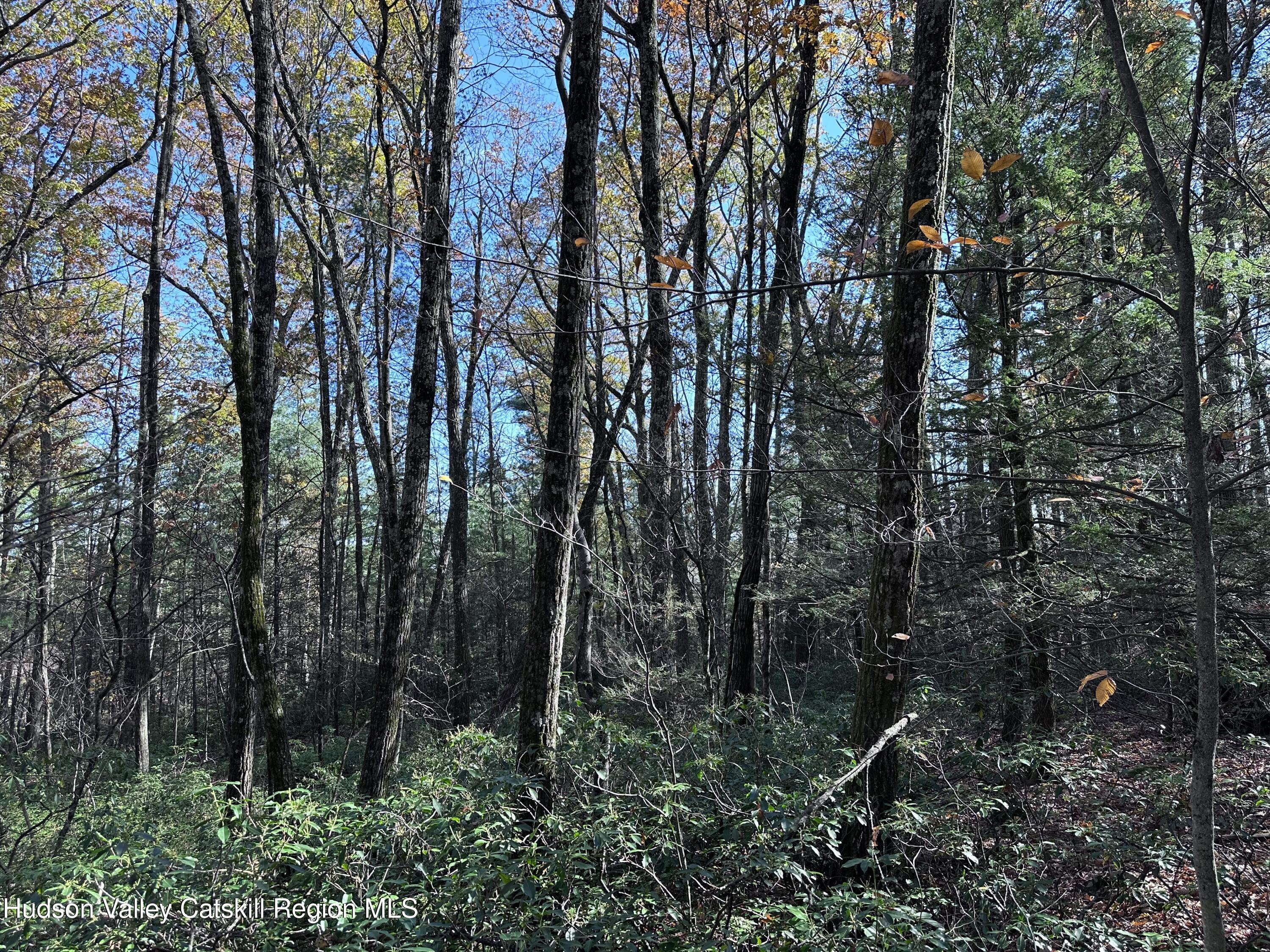 Lot 2 Upper Cherrytown Road Kerhonkson, NY 12446 - Photo 4 of 10 IMG_3316