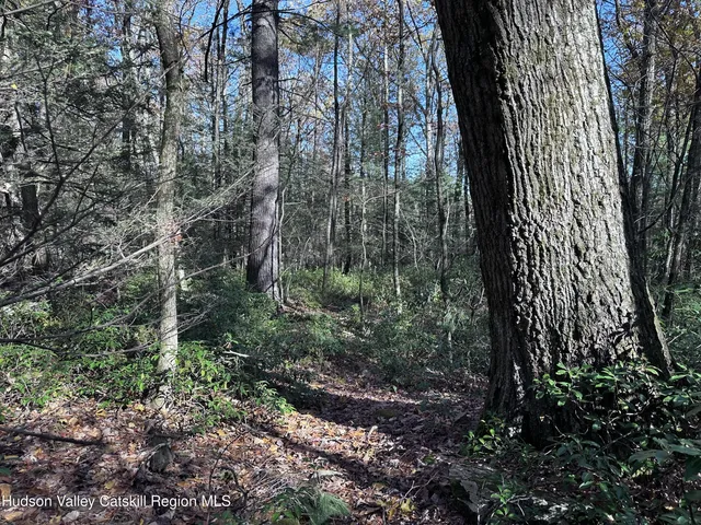 $75,000 | Lot 2 Upper Cherrytown Road, Kerhonkson, NY 12446