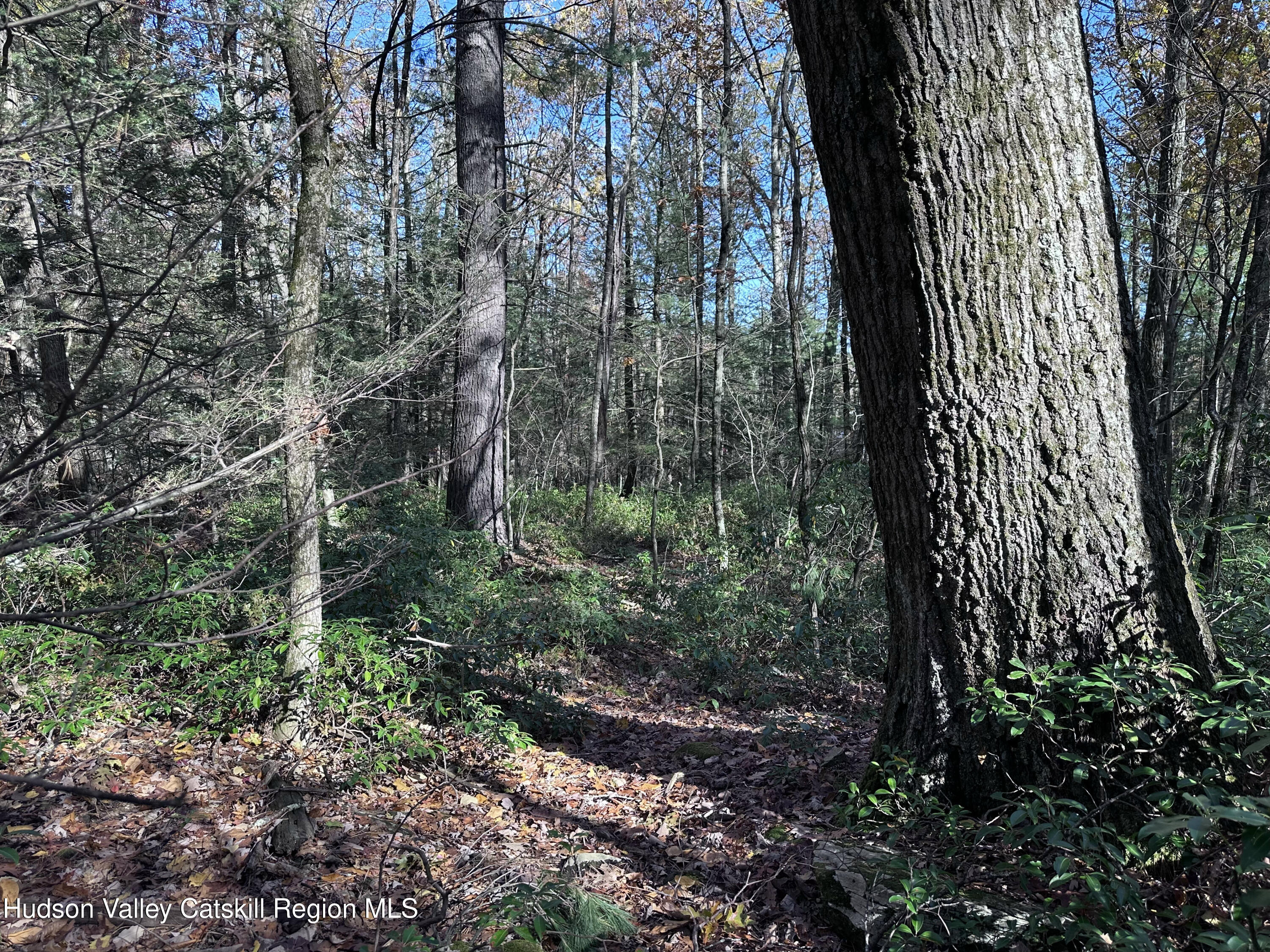 Lot 2 Upper Cherrytown Road Kerhonkson, NY 12446 - Photo 5 of 10 IMG_3317