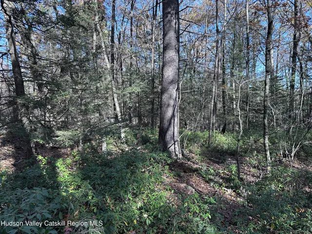 $75,000 | Lot 2 Upper Cherrytown Road, Kerhonkson, NY 12446