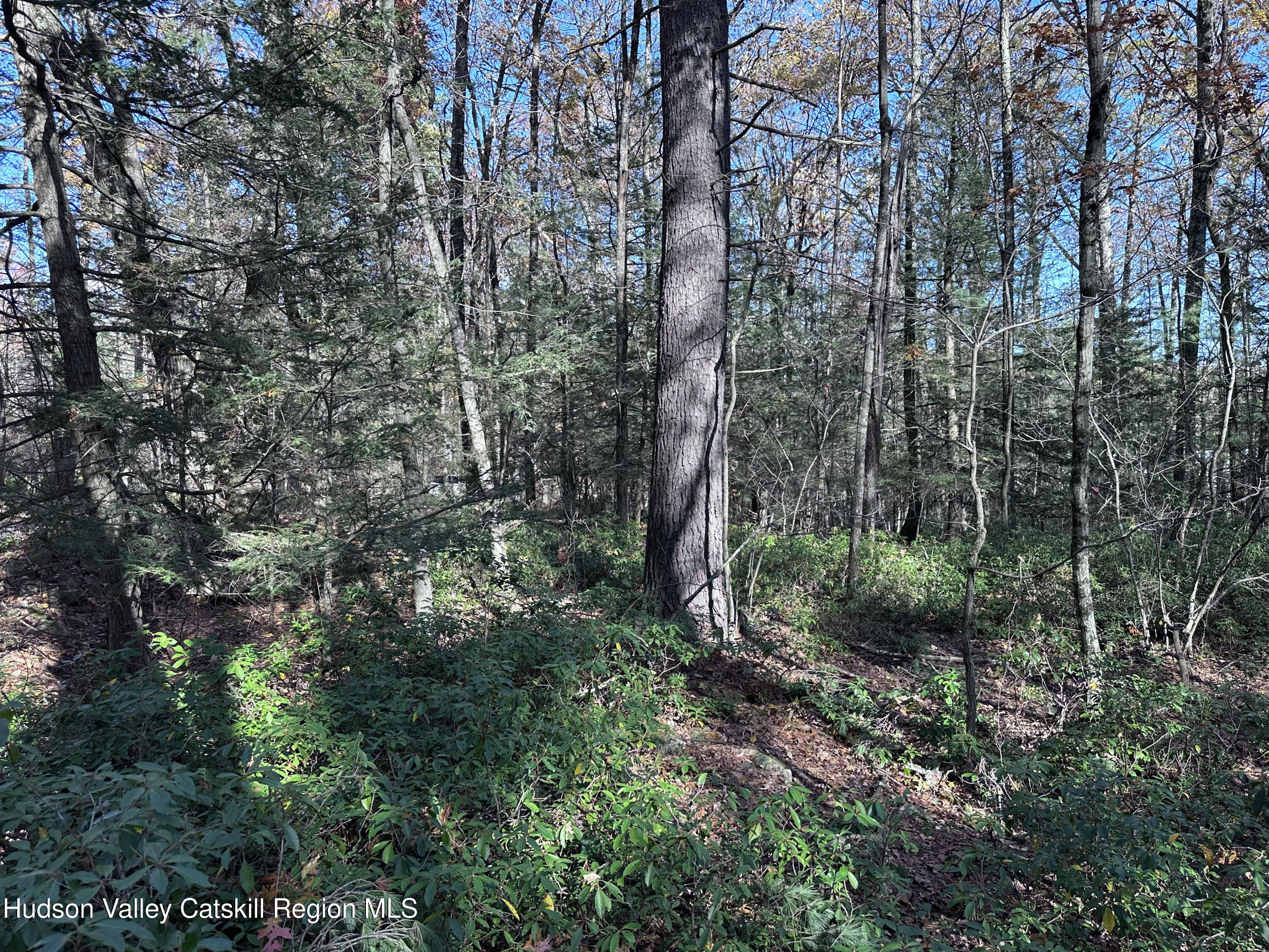 Lot 2 Upper Cherrytown Road Kerhonkson, NY 12446 - Photo 6 of 10 IMG_3318