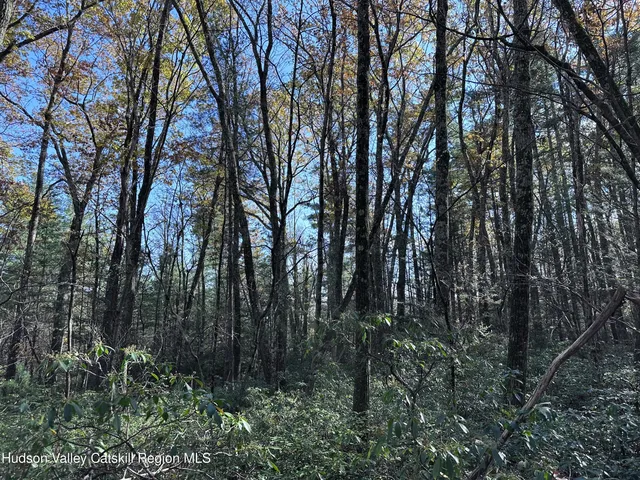 $75,000 | Lot 2 Upper Cherrytown Road, Kerhonkson, NY 12446