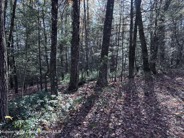 $75,000 | Lot 2 Upper Cherrytown Road, Kerhonkson, NY 12446