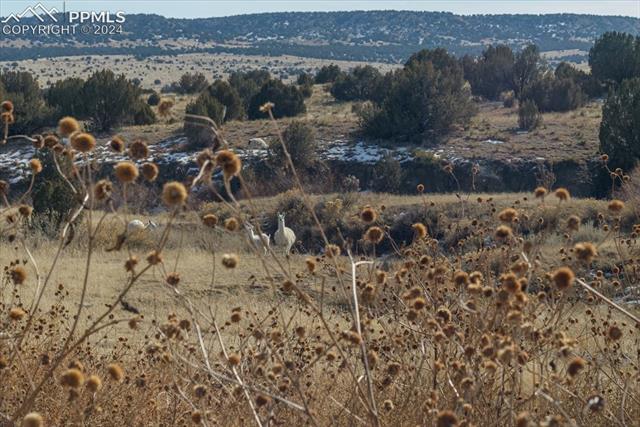 6670 Zercher Road Beulah, CO 81023 - Photo 24 of 24 Gallery Image 24