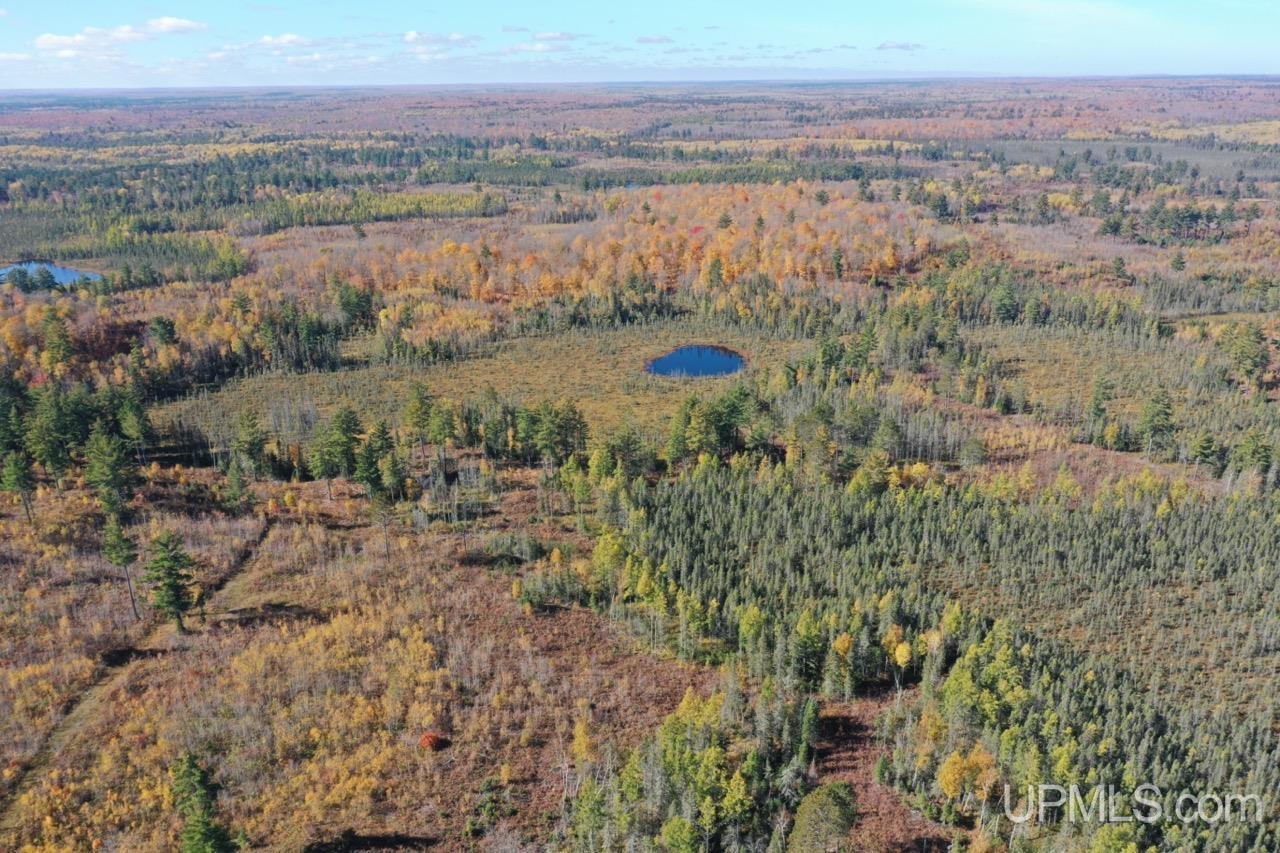 527 Usfs Road Iron River, MI 49935 - Photo 21 of 37