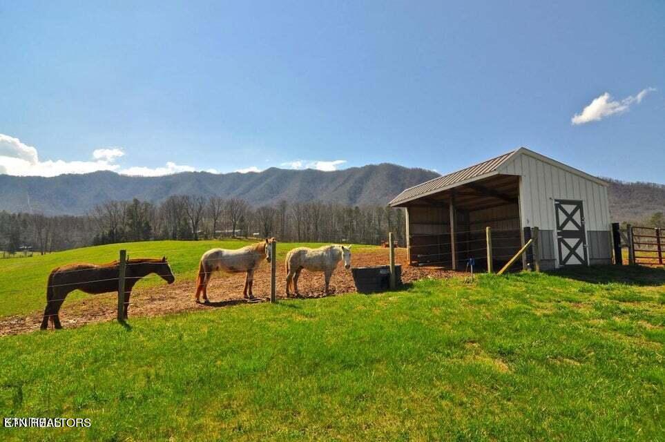 725 Dry Valley Road Townsend, TN 37882 - Photo 9 of 55 09