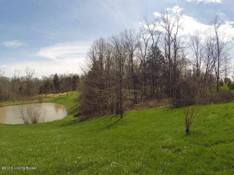 1560 Cedarmore Road Bagdad, KY 40003 - Photo 27 of 52 Additional View of Property