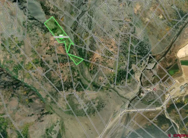 a view of a plant with a plants of the tree