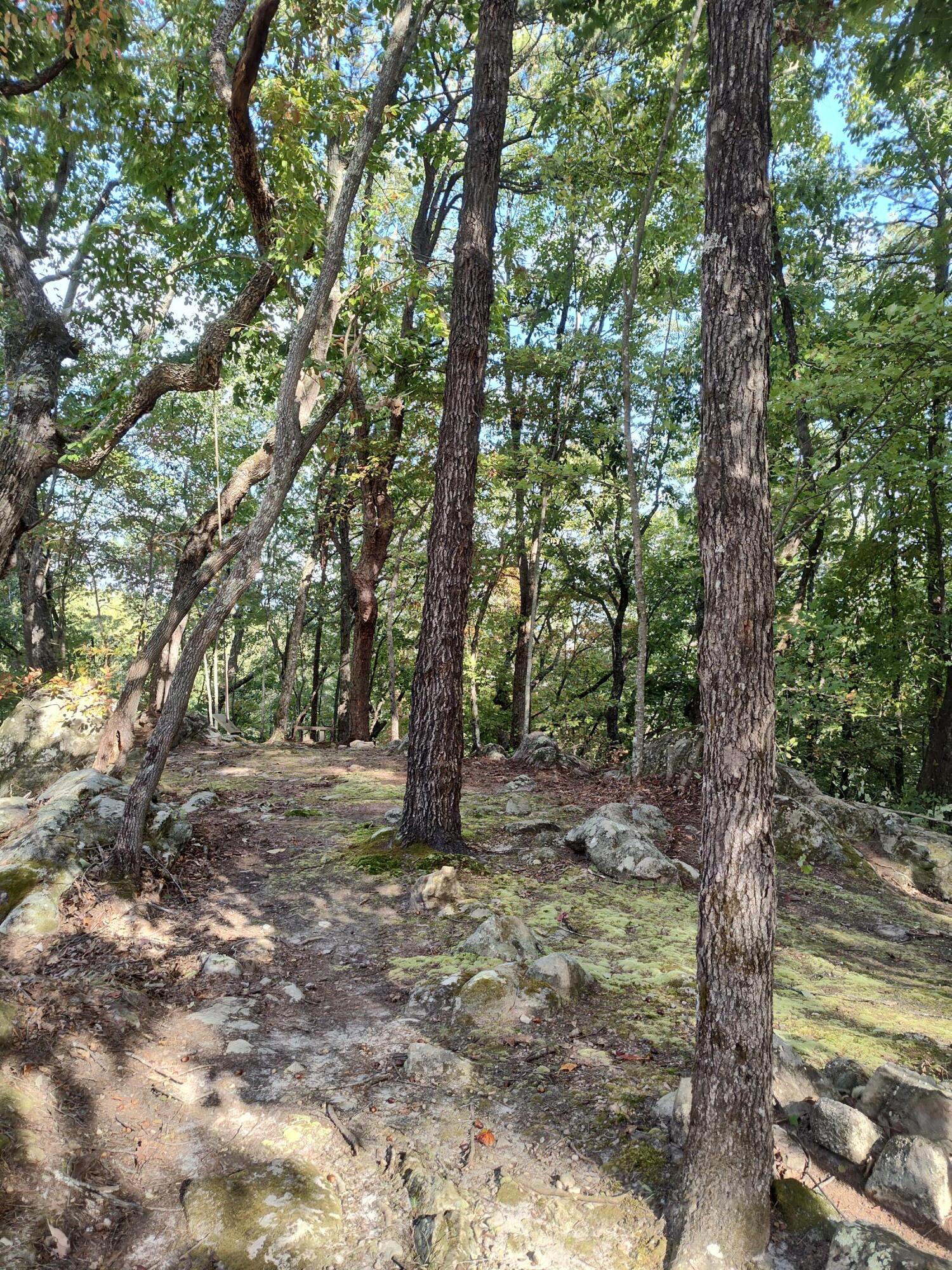 1224 Blue Sewanee Road Dunlap, TN 37327 - Photo 8 of 14 IMG_20241016_150405053_HDR