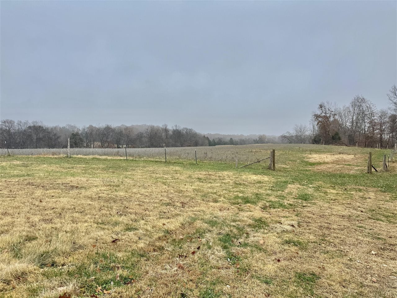 0 Duncan Road Alvaton, KY 42122 - Photo 3 of 14 Gallery Image 3