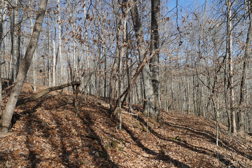 Tbd Tbd Dean Road Rose Hill, VA 24281 - Photo 19 of 97 Gallery Image 19