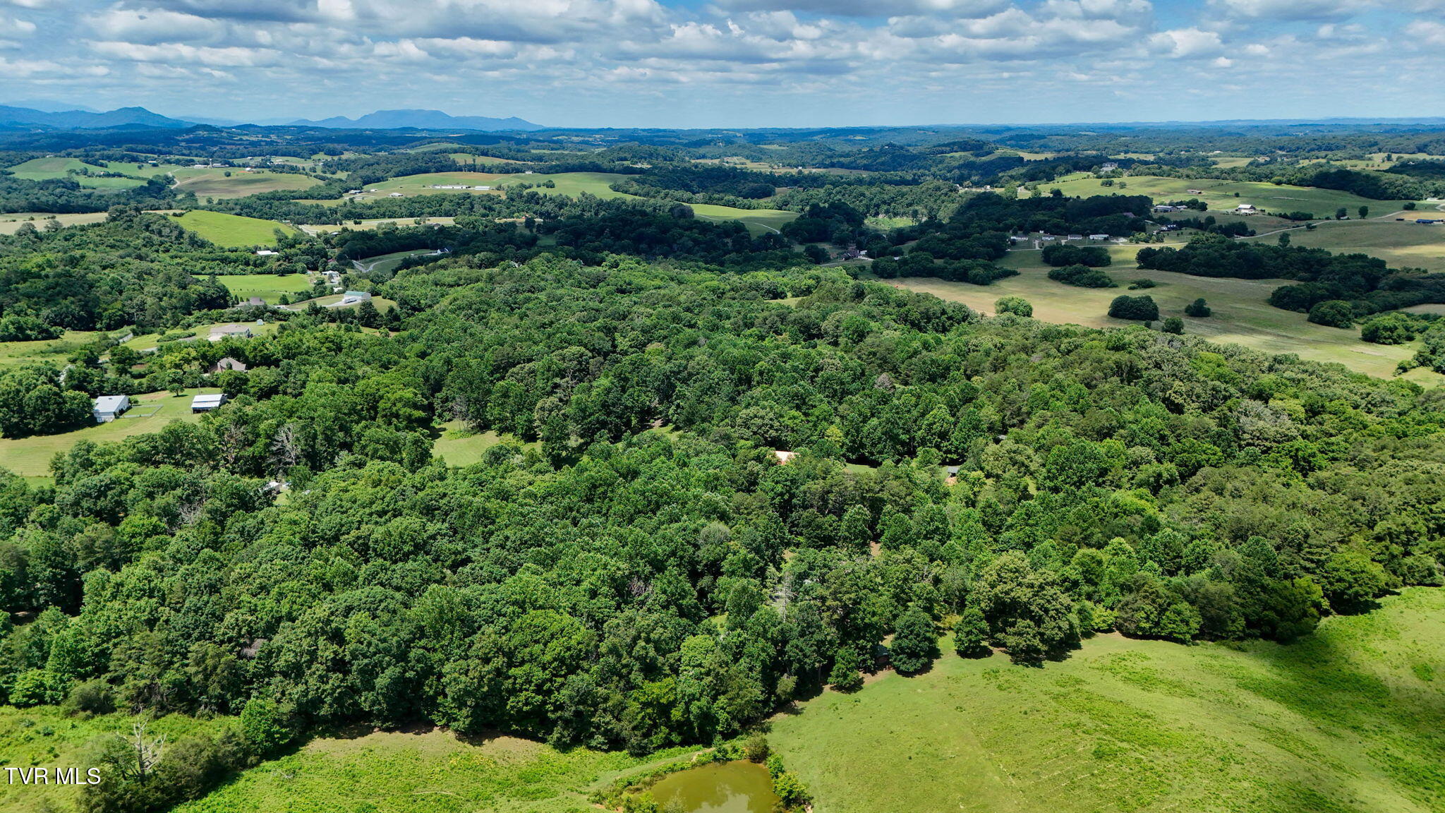 1374 West Allens Bridge Road Greeneville, TN 37743 - Photo 86 of 96 87-web-or-mls-1374 W Allens Bridge Rd EL