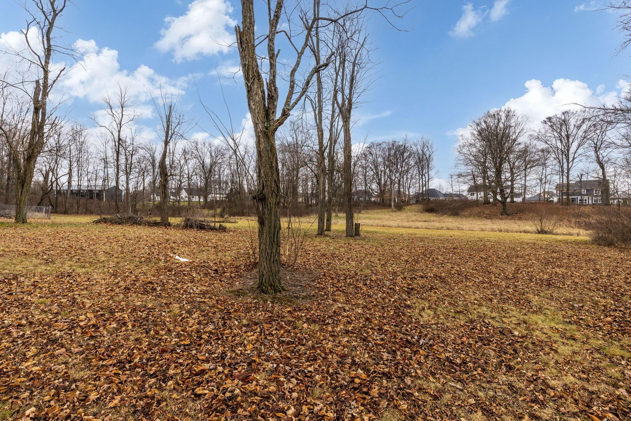 6700 Lewis Center Road Galena, OH 43021 - Photo 19 of 32 Partial view of Lot