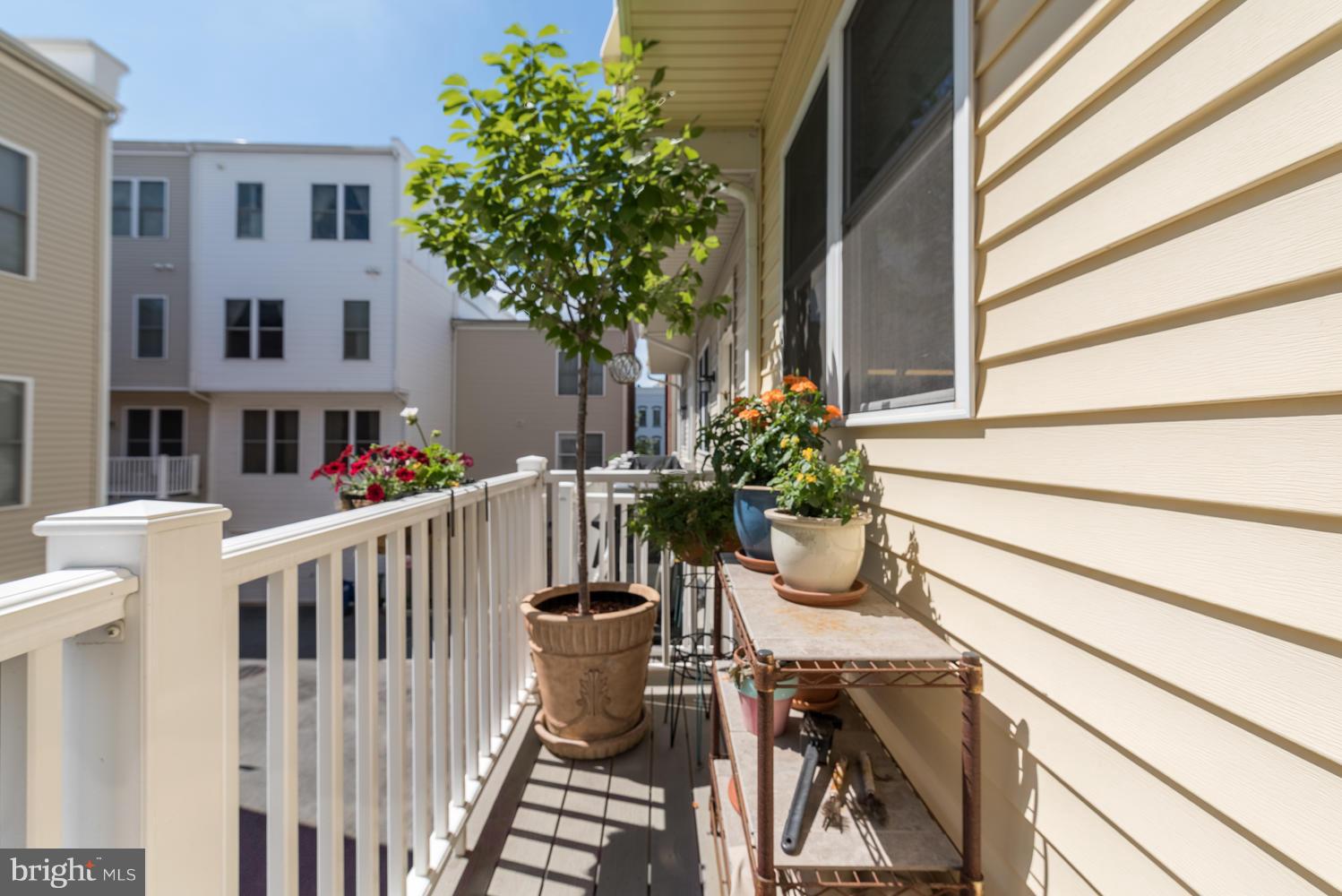 810 3rd Street Southeast Washington, DC 20003 - Photo 12 of 30 Exterior (Rear)