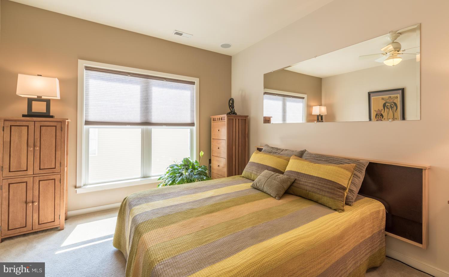 810 3rd Street Southeast Washington, DC 20003 - Photo 15 of 30 Bedroom (Master)