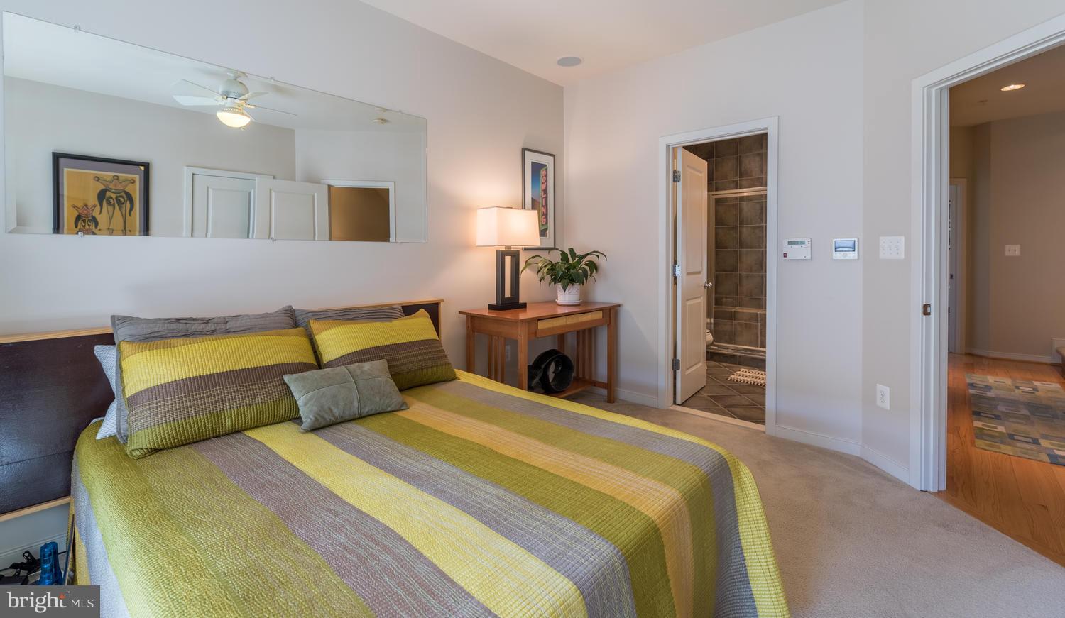 810 3rd Street Southeast Washington, DC 20003 - Photo 16 of 30 Bath (Master)