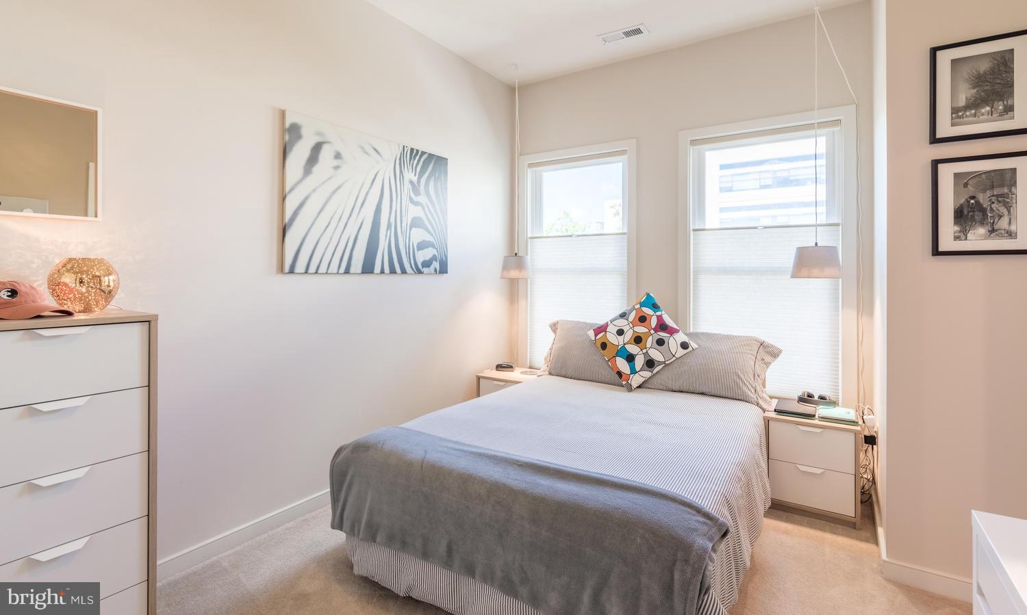 810 3rd Street Southeast Washington, DC 20003 - Photo 20 of 30 Bedroom