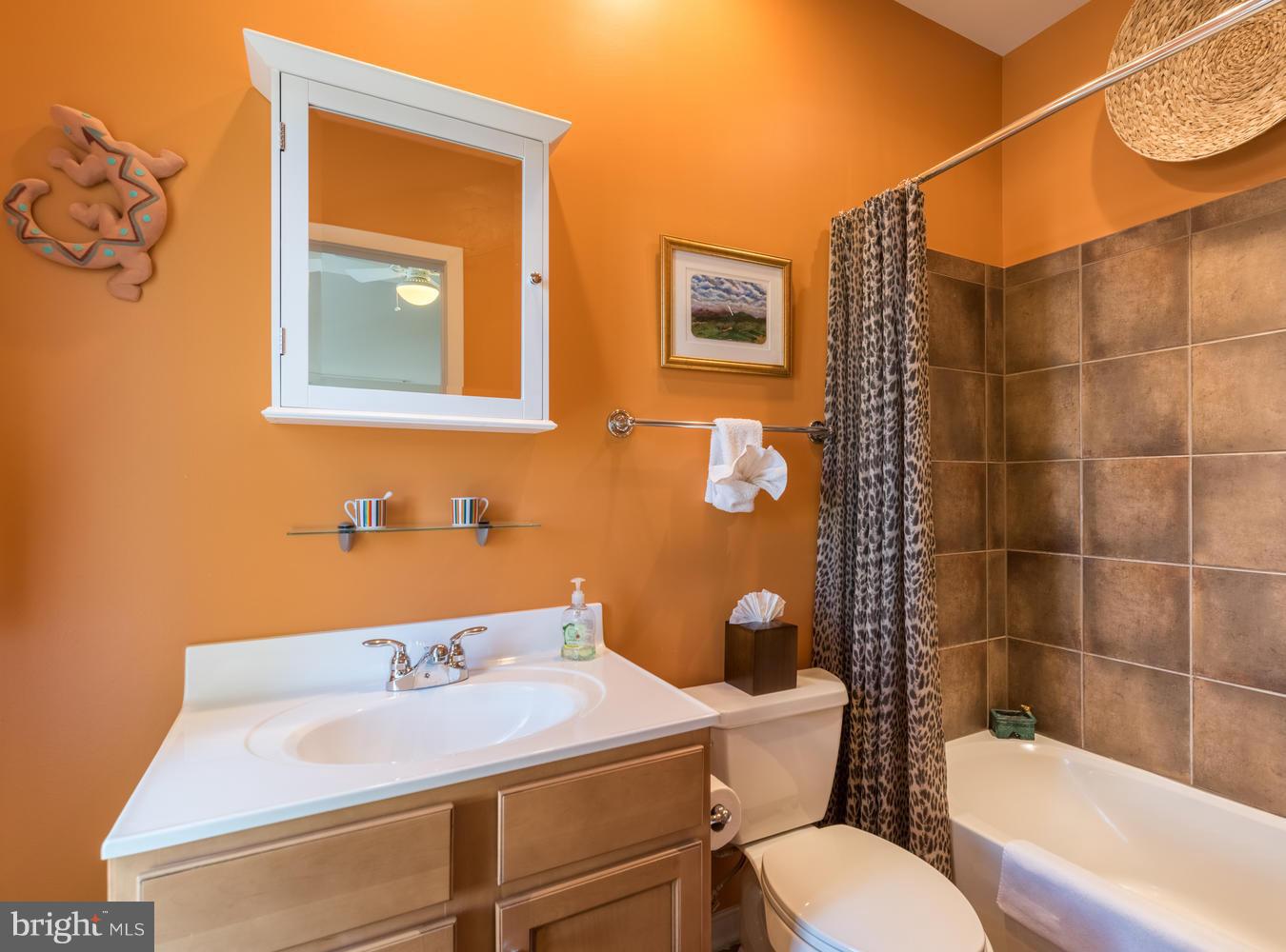 810 3rd Street Southeast Washington, DC 20003 - Photo 22 of 30 Bath