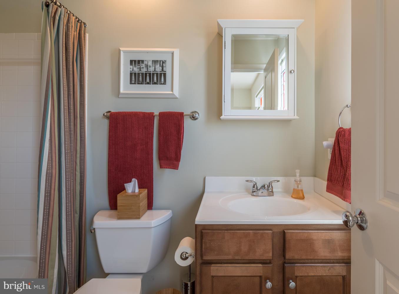 810 3rd Street Southeast Washington, DC 20003 - Photo 27 of 30 Bath