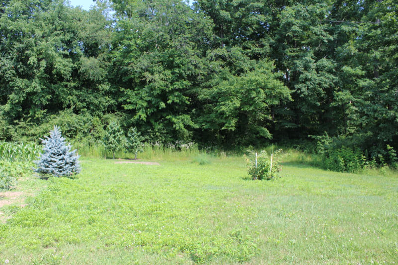 1476 Stephens Road Jamestown, TN 38556 - Photo 33 of 39 IMG_3383_800x533