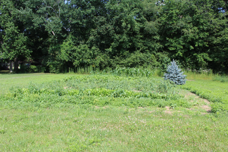 1476 Stephens Road Jamestown, TN 38556 - Photo 34 of 39 IMG_3384_800x533
