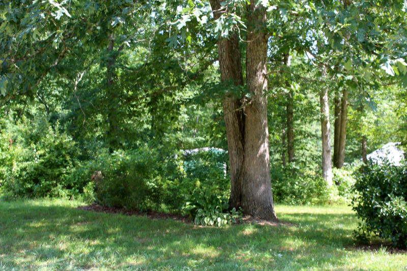 1476 Stephens Road Jamestown, TN 38556 - Photo 8 of 39 IMG_3347_800x533