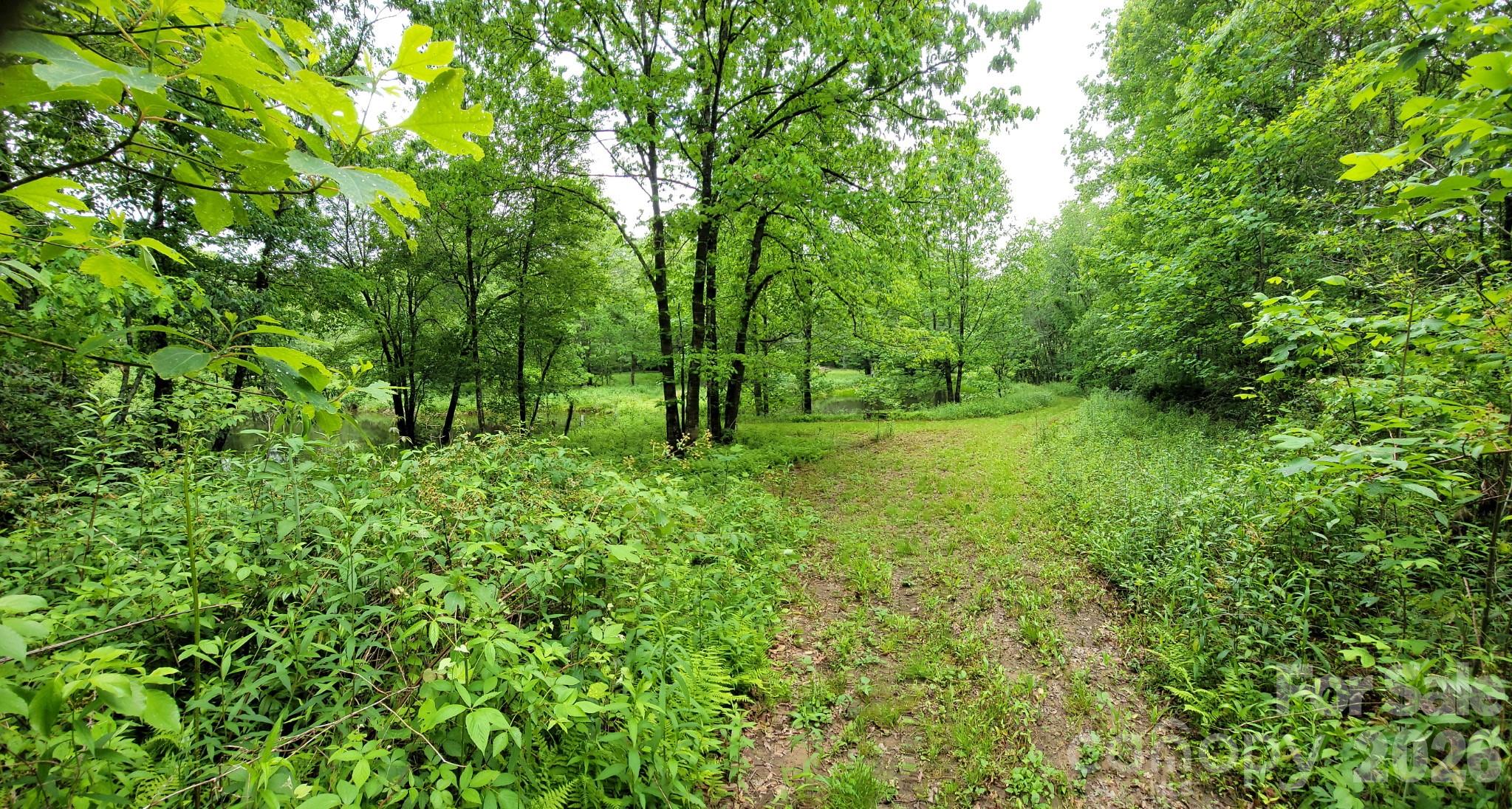 Tbd Sweetwater Rdg Road, Unit 1 Balsam Grove, NC 28708 - Photo 8 of 24 a view of outdoor space and yard