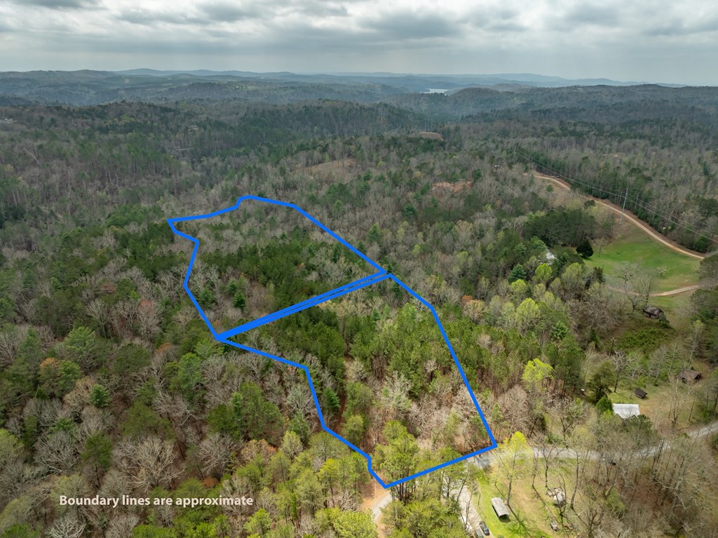 824-830 Banks Road Ellijay, GA 30540 - Photo 17 of 17 Gallery Image 17