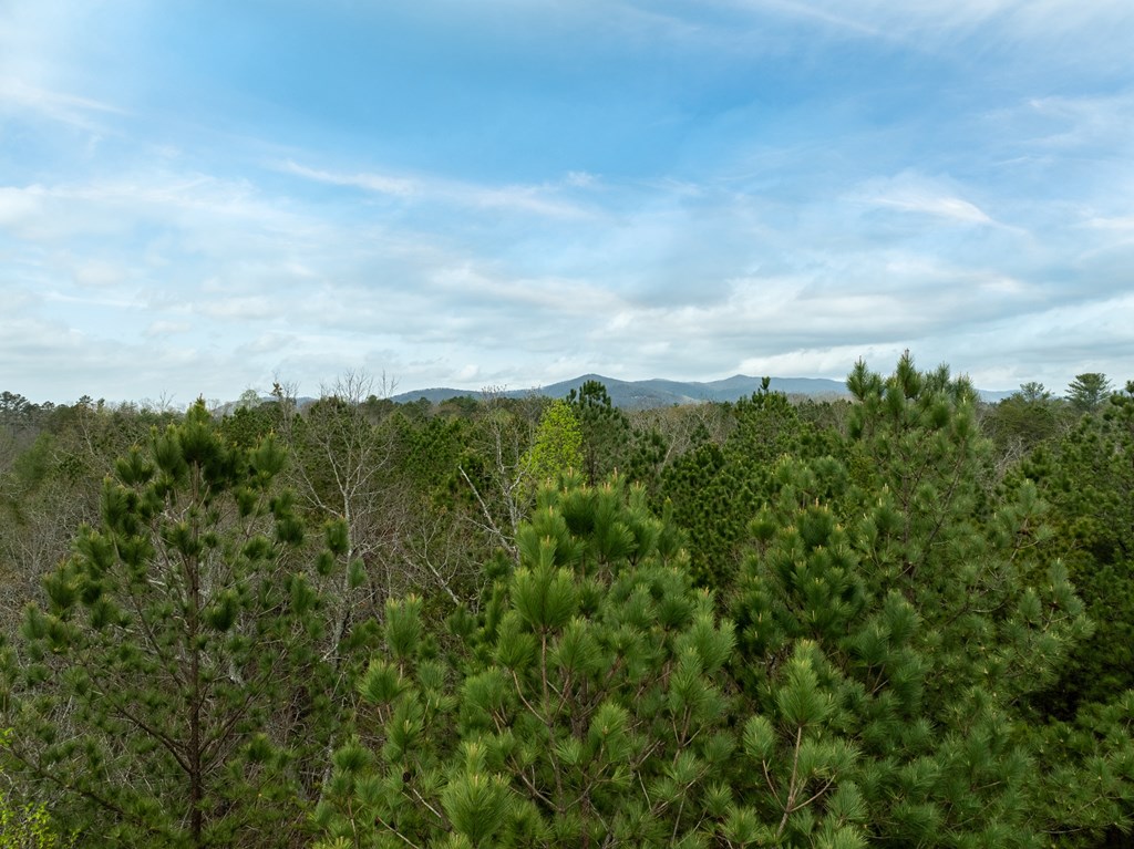824-830 Banks Road Ellijay, GA 30540 - Photo 6 of 17 Gallery Image 6